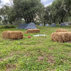  Glamping Cika's Camping Albania